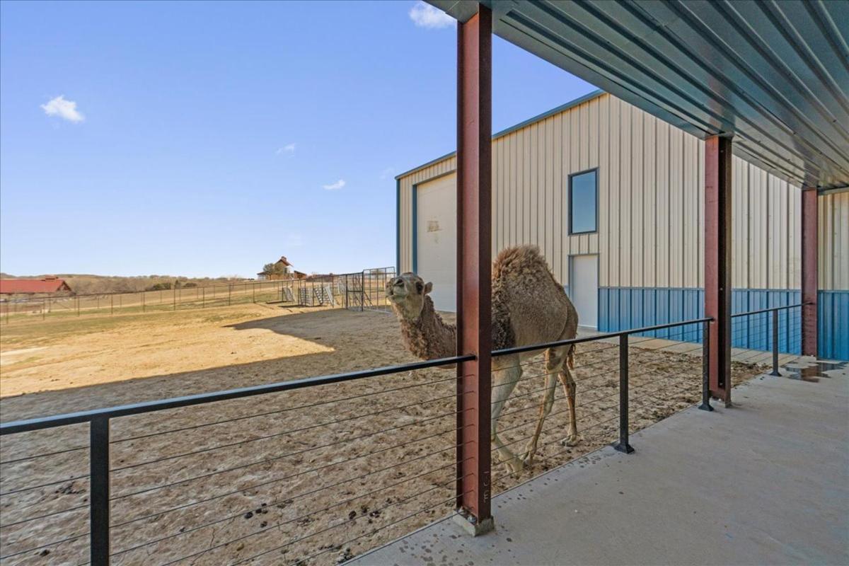 Blue Hills Ranch McGregor Exterior foto