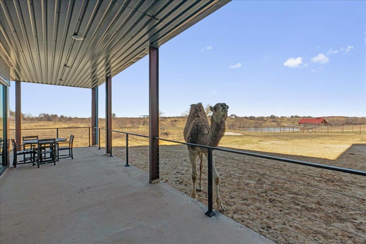 Blue Hills Ranch McGregor Exterior foto
