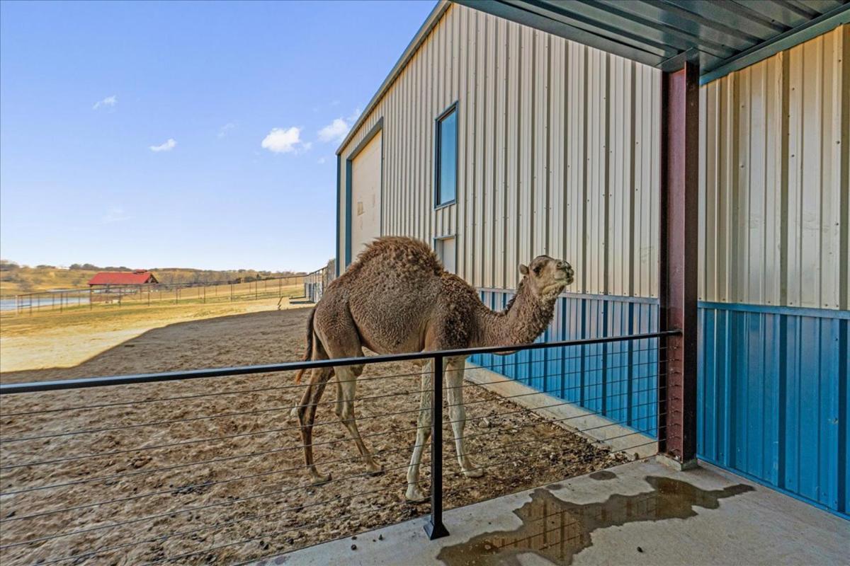 Blue Hills Ranch McGregor Exterior foto